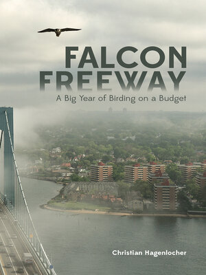 cover image of Falcon Freeway: a Big Year of Birding on a Budget